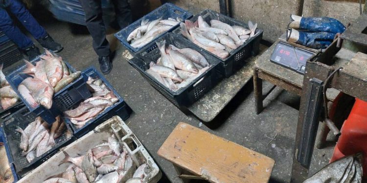 63 кг рыбы изъяли у браконьера, задержанного на берегу Балхаша