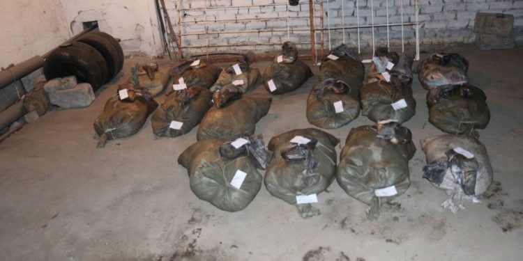 “Карасей без документов” перехватили полицейские в Павлодарской области