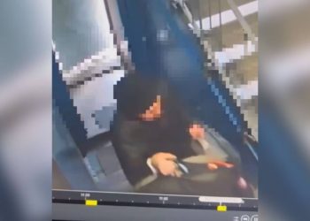 Лжеполицейского, промышлявшего кражами в Павлодаре, задержали в Алматы