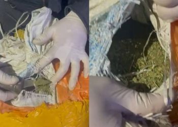 Оптовый наркосбытчик задержан полицейскими ВКО в Алматинской области