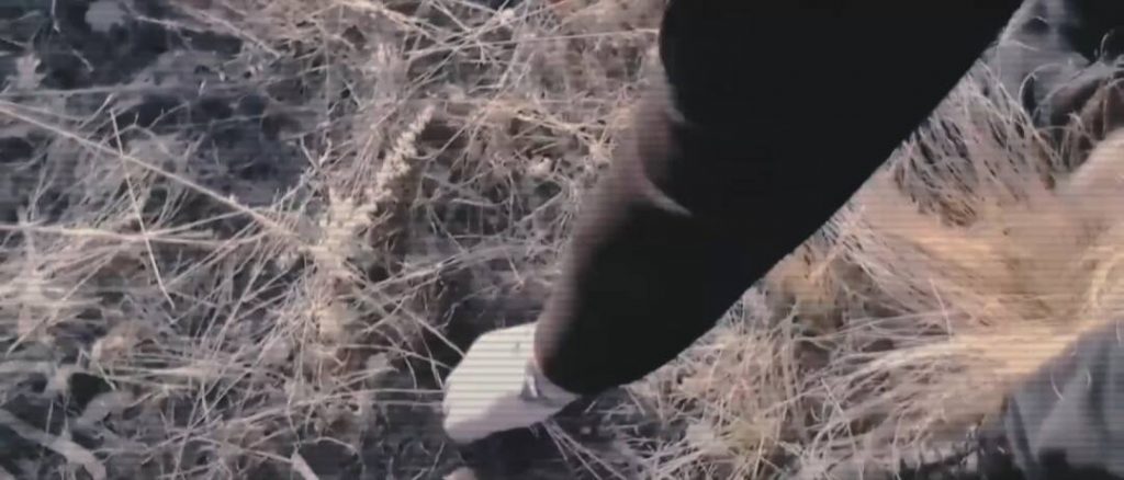 Полиция изъяла 500 закладок с наркотиками в трех городах Казахстана