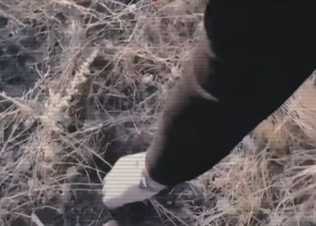 Полиция изъяла 500 закладок с наркотиками в трех городах Казахстана