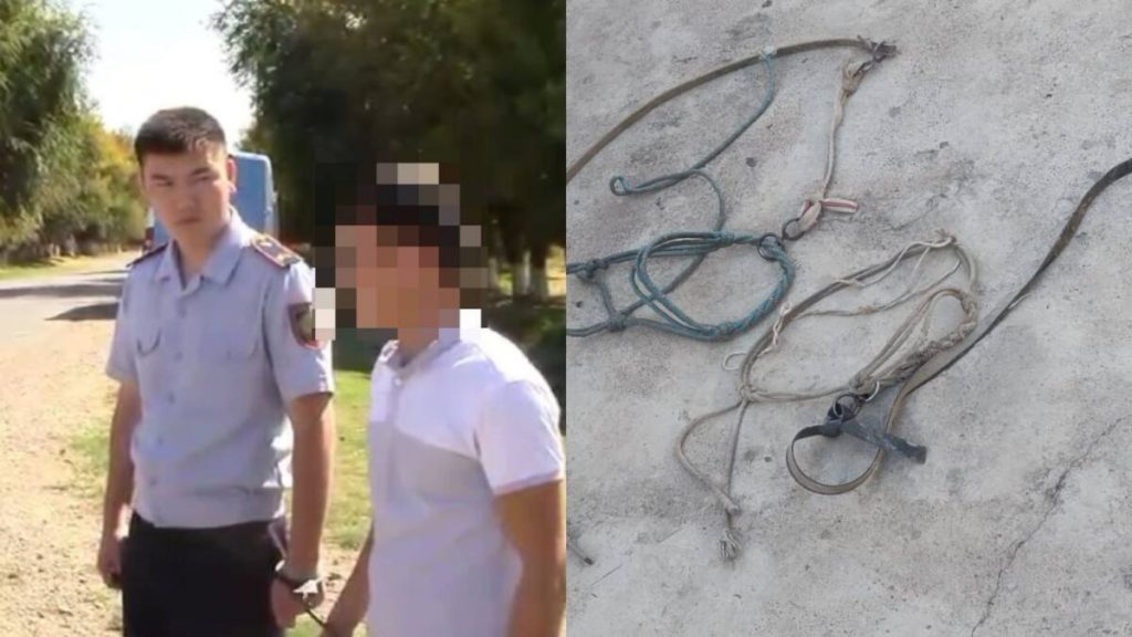 Серийных скотокрадов задержали полицейские Туркестанской области