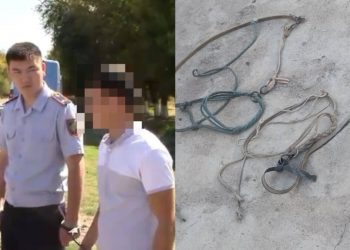 Серийных скотокрадов задержали полицейские Туркестанской области