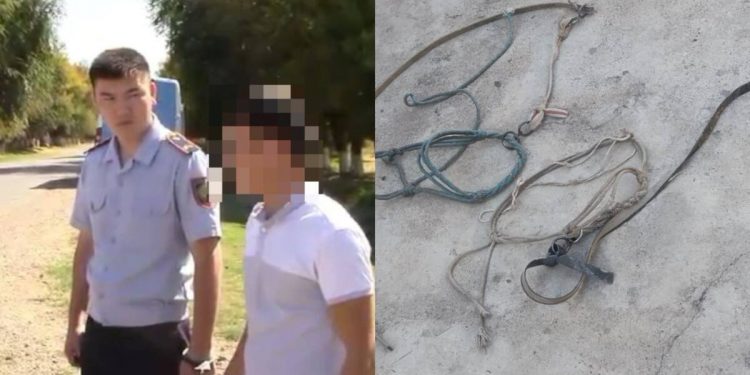 Серийных скотокрадов задержали полицейские Туркестанской области