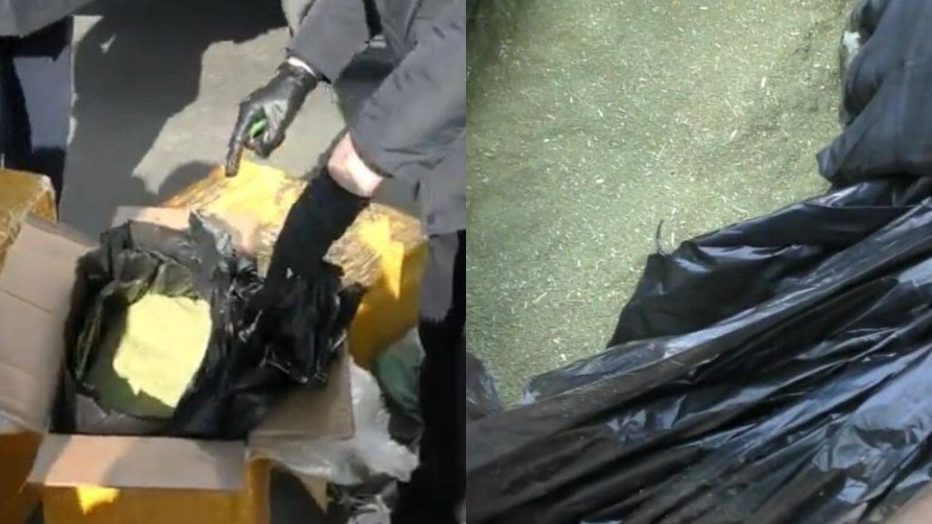 Спецоперация в Алматы: 151 кг гашиша изъят на въезде в мегаполис