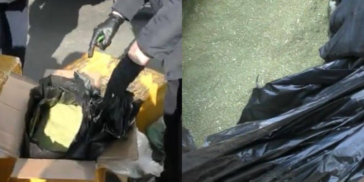 Спецоперация в Алматы: 151 кг гашиша изъят на въезде в мегаполис