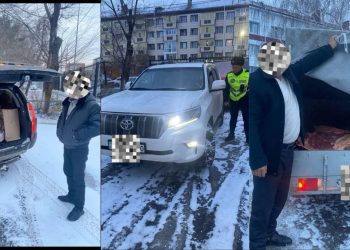 Три факта незаконной перевозки мяса выявили в Костанае