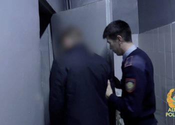 Задержаны вандалы, уничтожившие 460 высаженных саженцев в Алматы