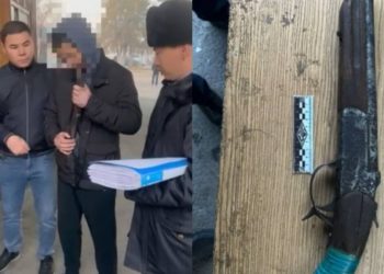 Жителя Алматинской области подозревают в незаконном хранении оружия