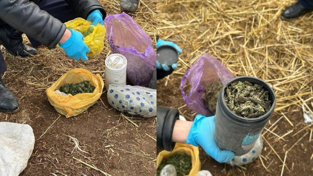 1 кг наркотиков изъяли у сельчанина в Кызылординской области