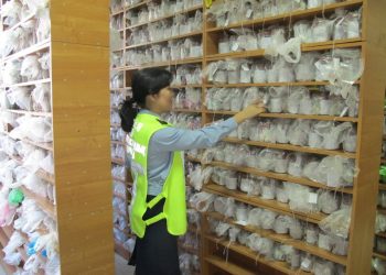 Алматинский криминалист нашла грабителя по запаху