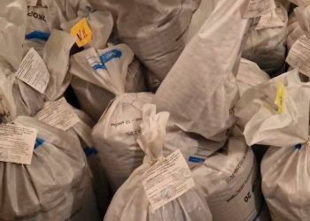 Более 700 кг наркотиков уничтожили полицейские в Павлодарской области