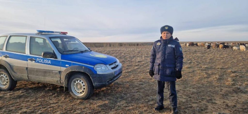 800 пропавших овец на 35 млн тенге нашли полицейские Костанайской области