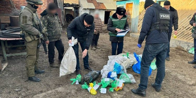 Более 5 кг марихуаны изъяли полицейские у жителя ВКО