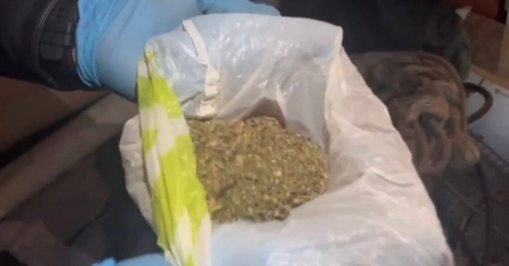 Двух шымкентцев, хранивших дома наркотики, задержали полицейские