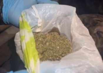 Двух шымкентцев, хранивших дома наркотики, задержали полицейские