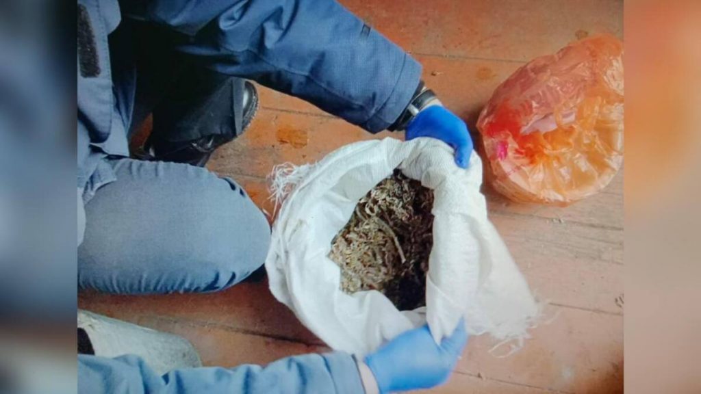 Марихуану хранил дома житель Катон-Карагайского района