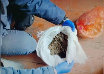 Марихуану хранил дома житель Катон-Карагайского района