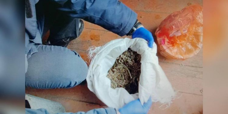 Марихуану хранил дома житель Катон-Карагайского района
