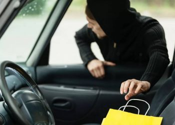 Платье, туфли и косметику автоледи украл мужчина в Шымкенте