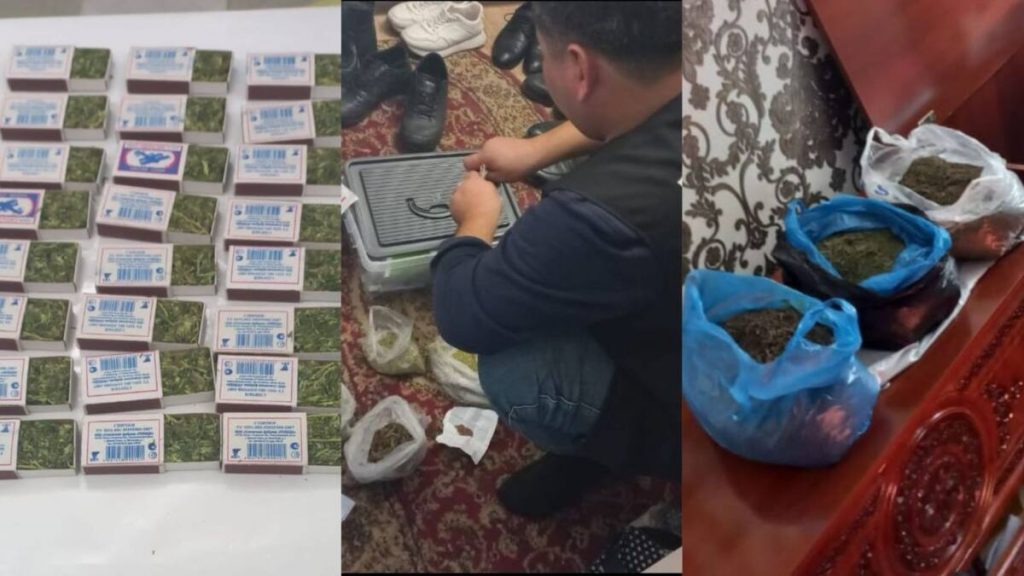 Полицейские Туркестанской области изъяли около 5 кг марихуаны у приверженца ДРТ
