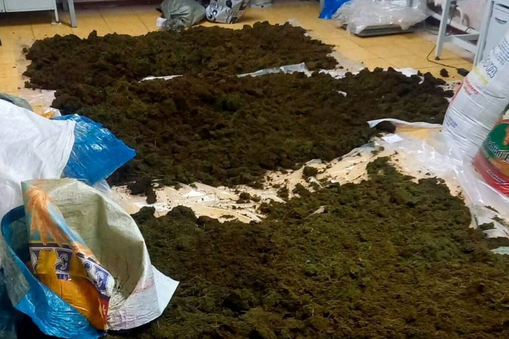 Рекордный вес наркотиков за 10 лет и другие итоги борьбы с наркобизнесом в СКО