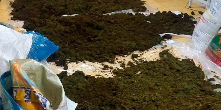 Рекордный вес наркотиков за 10 лет и другие итоги борьбы с наркобизнесом в СКО