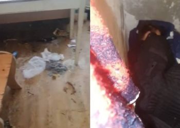 “Ведут аморальный образ жизни”: детей из неблагополучных семей определили в Дом ребенка