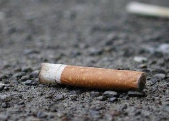 Выкинул окурок на тротуар: павлодарца оштрафовали