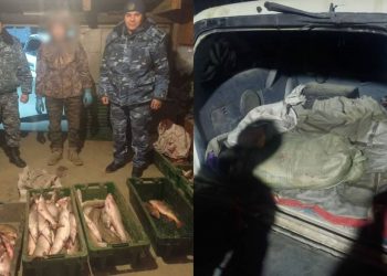 За ловлю рыбы в запретной зоне задержали жителя ВКО