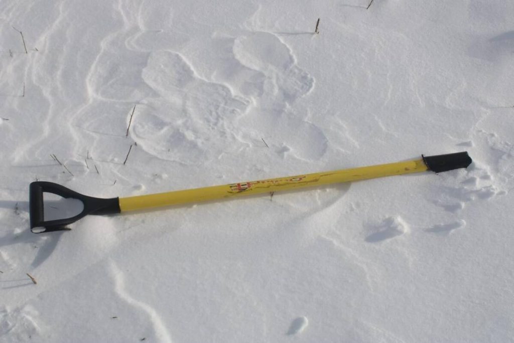 Черенок от лопаты помог криминалисту найти скотокрада