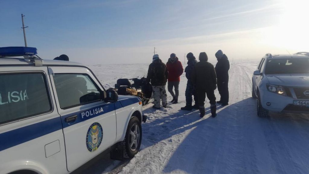 Более 100 пропавших овец вернули акмолинке полицейские