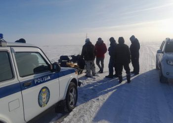 Более 100 пропавших овец вернули акмолинке полицейские