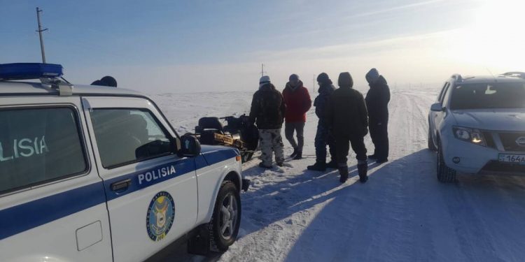 Более 100 пропавших овец вернули акмолинке полицейские