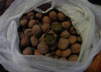 60 телефонов изъяли при попытках передачи в учреждения УИС СКО в 2023 году