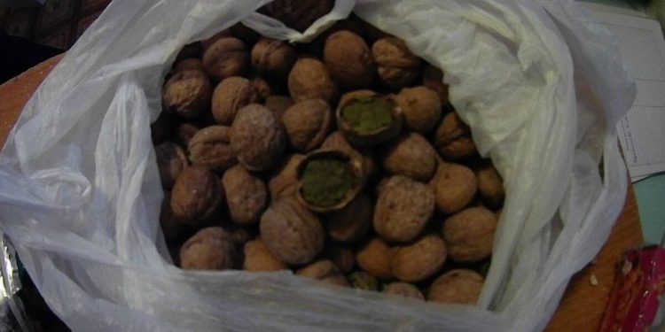 60 телефонов изъяли при попытках передачи в учреждения УИС СКО в 2023 году