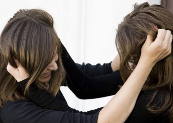 Акмолинские полицейские расследуют дело о женской драке