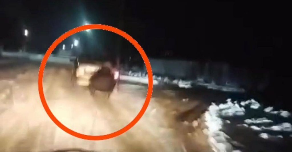 Авто с санями и несовершеннолетними пассажирами колесило в Жамбылской области