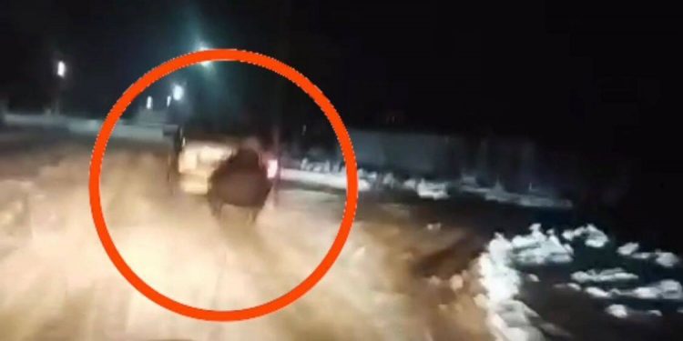 Авто с санями и несовершеннолетними пассажирами колесило в Жамбылской области