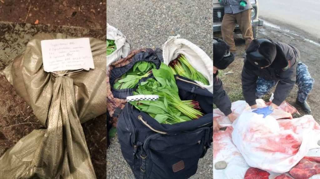 Более тысячи нарушений природоохранного законодательства в 2023 году выявлено в ВКО