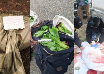 Более тысячи нарушений природоохранного законодательства в 2023 году выявлено в ВКО