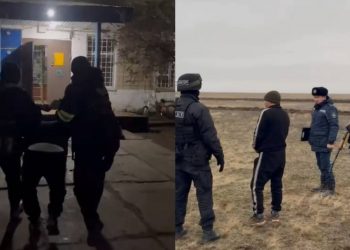 Группу серийных скотокрадов задержали полицейские ЗКО