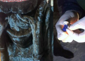 Квартирных воров задержали полицейские ВКО