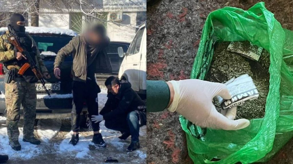 Марихуану в особо крупном размере изъяли у жителя Текели