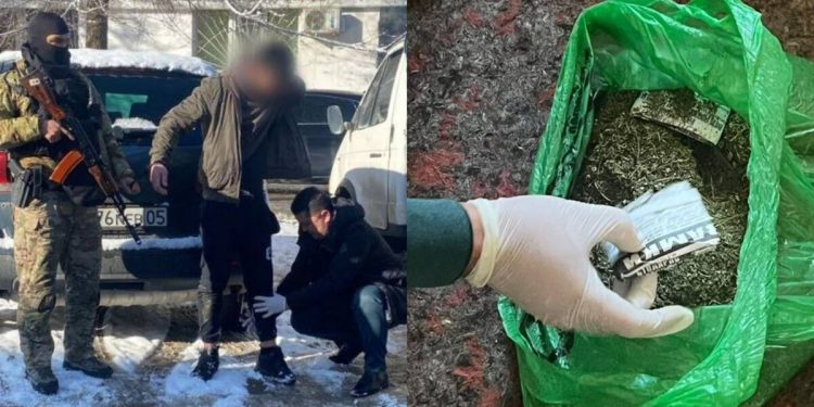 Марихуану в особо крупном размере изъяли у жителя Текели