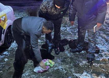 Мужчина пытался перебросить алкоголь в колонию Алматинской области