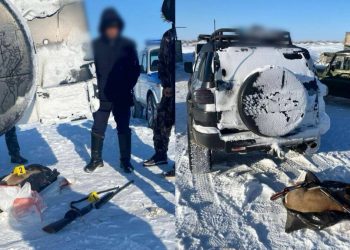 Мужчину, стрелявшего в джейрана, задержали в Жамбылской области
