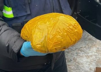 МВД с Антикором ликвидировали крупный канал поставки синтетических наркотиков в столицу