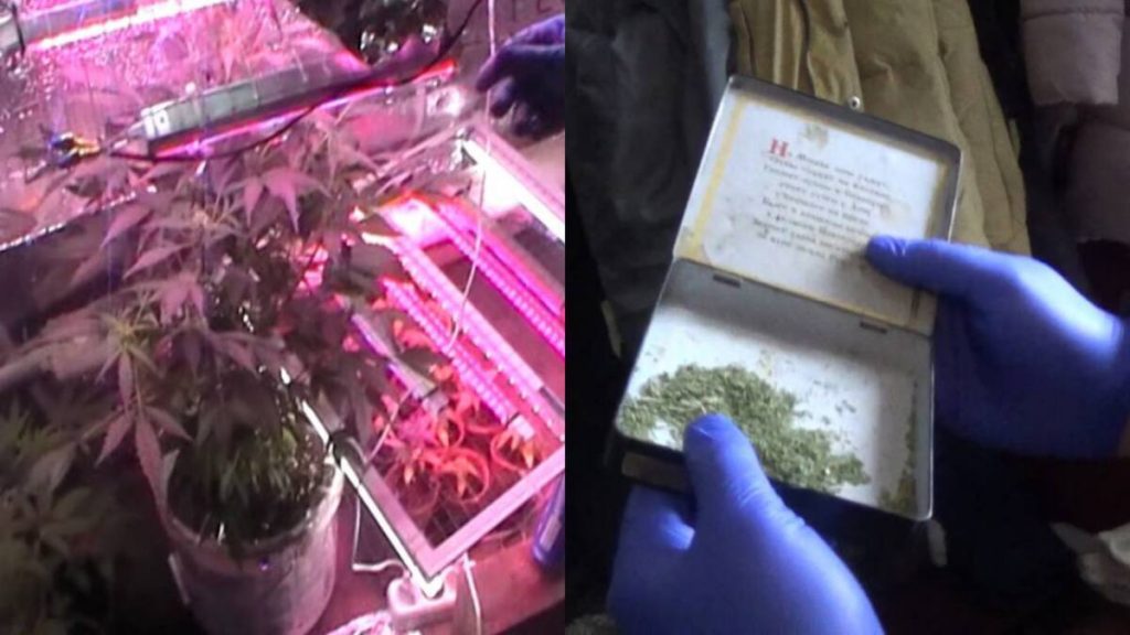 Нарко-сад на дому: устькаменогорец задержан полицейскими ВКО